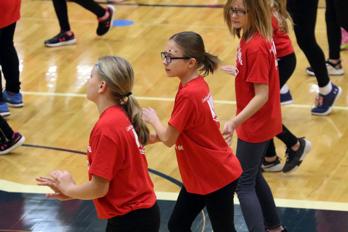 Mini Dukettes (1).jpg
